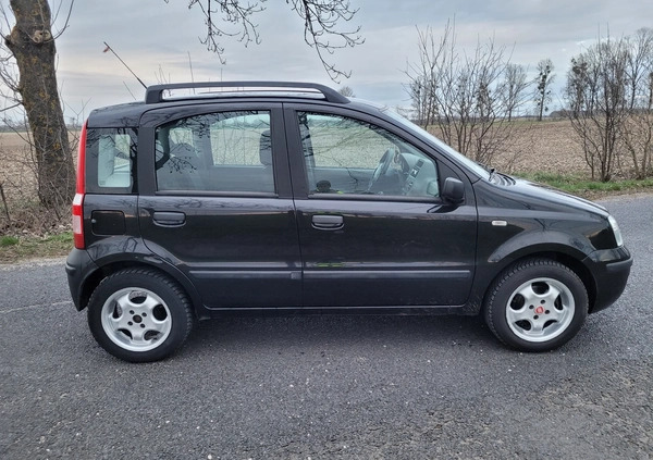 Fiat Panda cena 7900 przebieg: 158000, rok produkcji 2004 z Chełmno małe 352